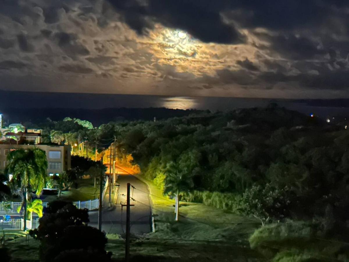 Ocean & Mountains View, Marina, Ferry, Vista Mar, Costa Esmeralda Ceiba Екстериор снимка