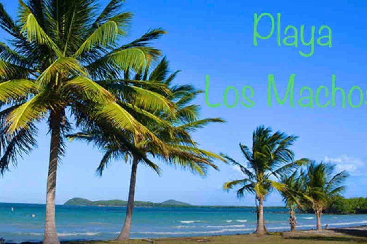 Ocean & Mountains View, Marina, Ferry, Vista Mar, Costa Esmeralda Ceiba Екстериор снимка